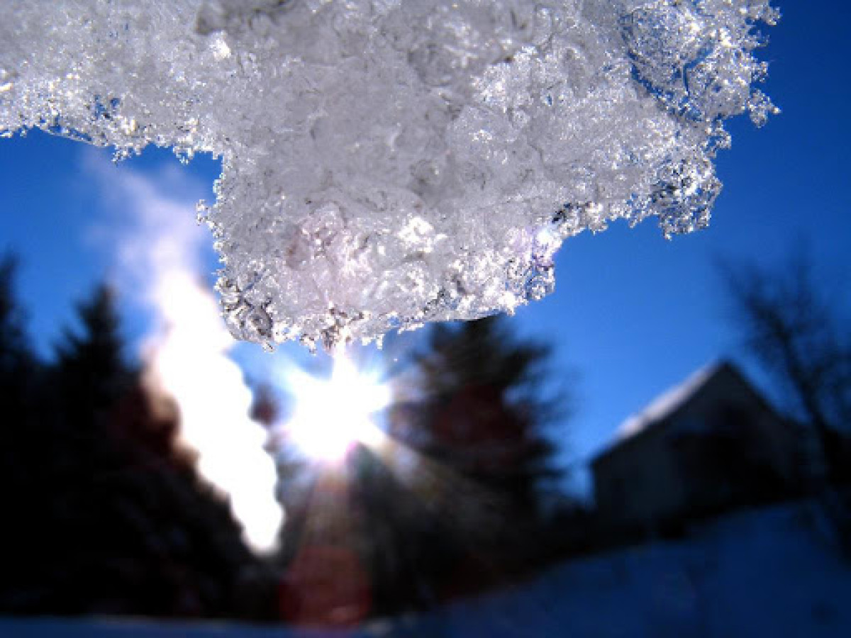 иллюстративное