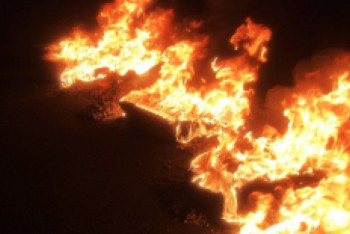 Фотография к новости: Трое детей погибли в пожаре в Алматинской области