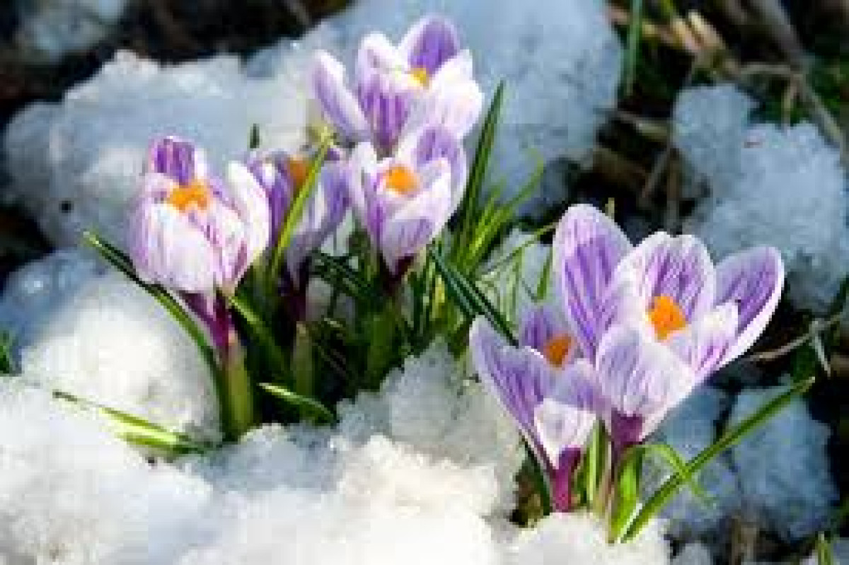 Усиление ветра ожидается в Казахстане 7 марта