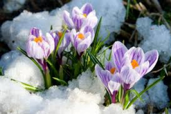 Фотография к новости: Усиление ветра ожидается в Казахстане 7 марта