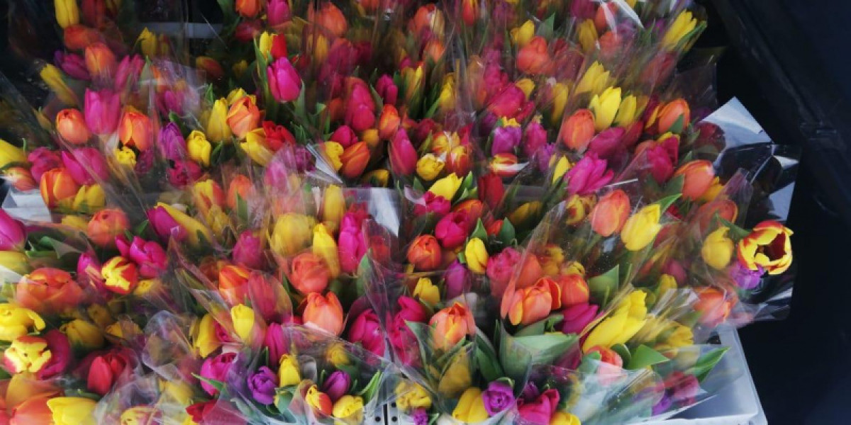 Бизнесмен одарил тюльпанами всех женщин села в Акмолинской области