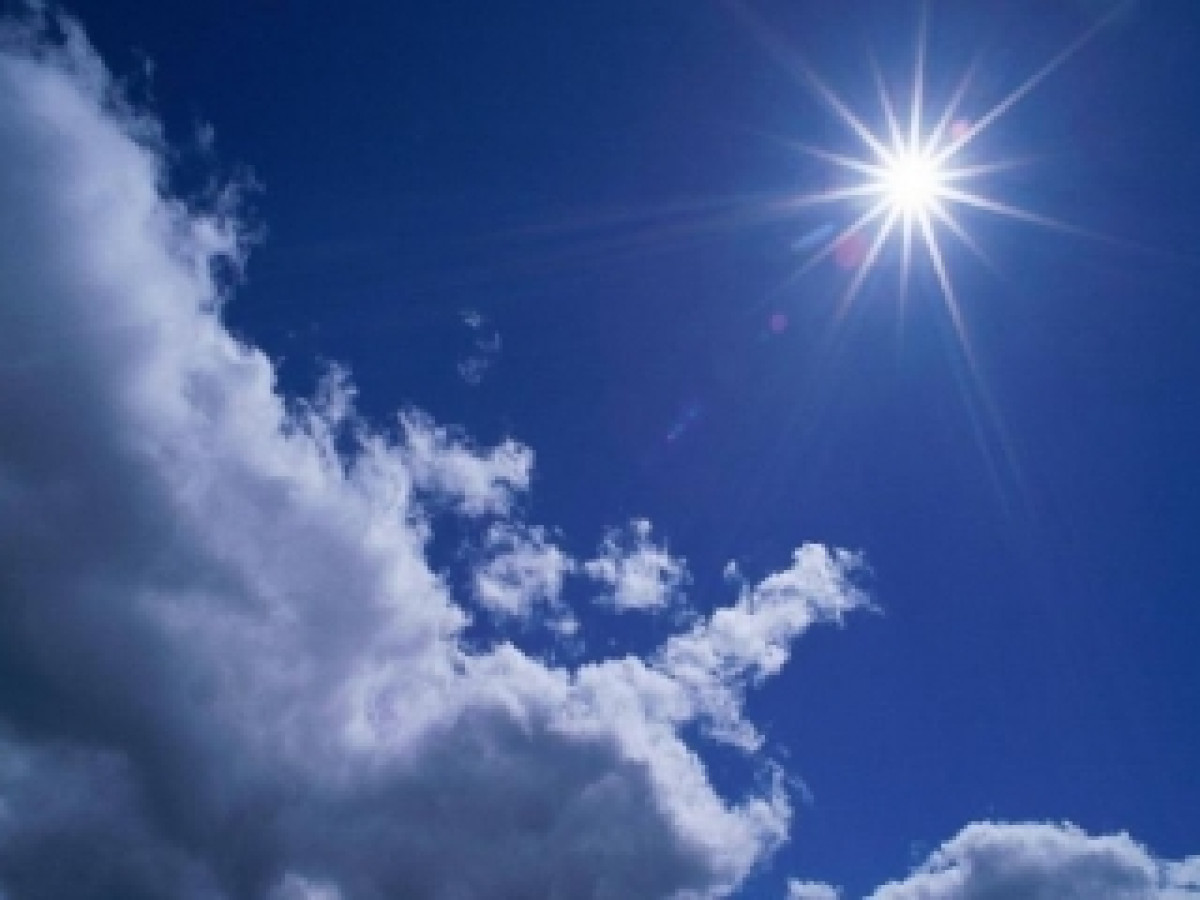 иллюстративное