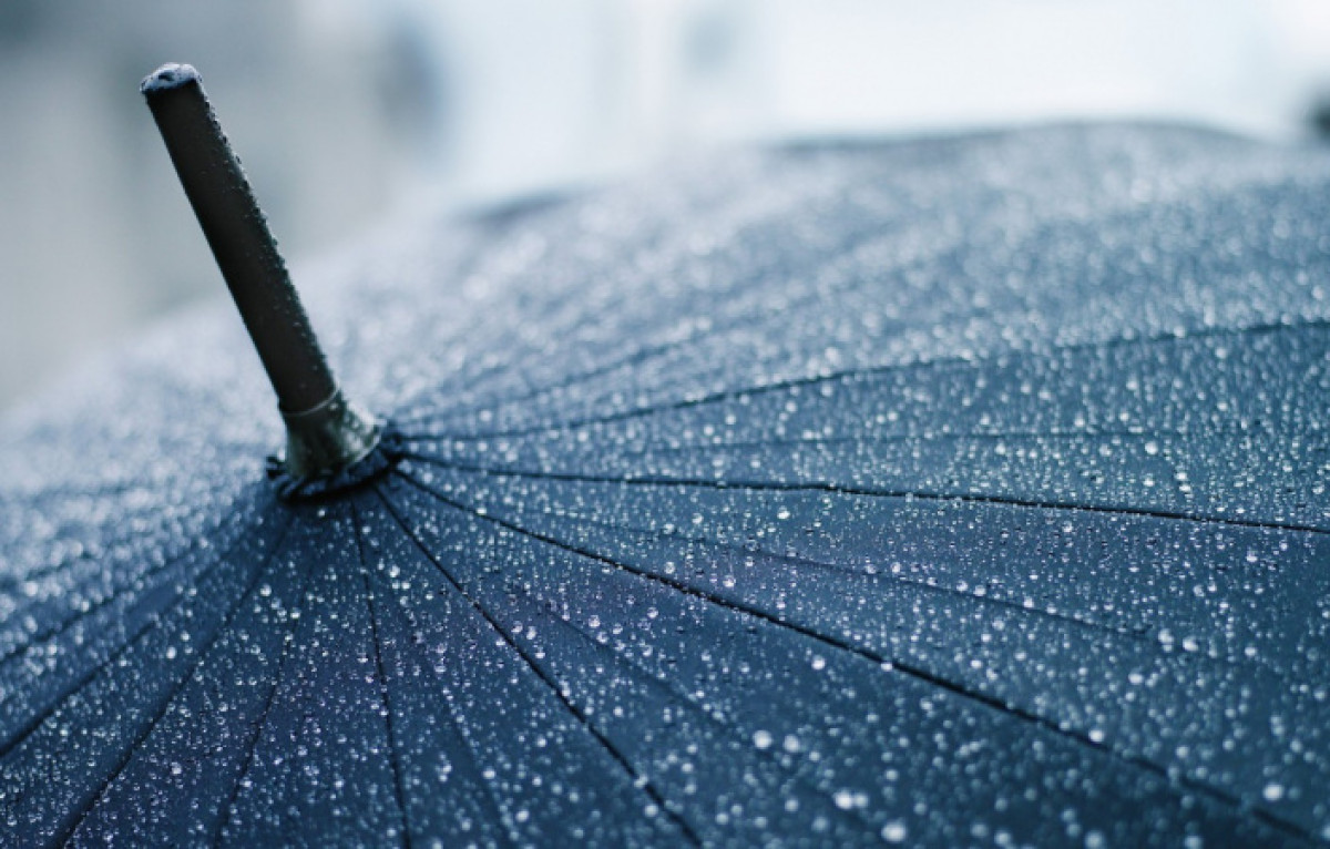 иллюстративное