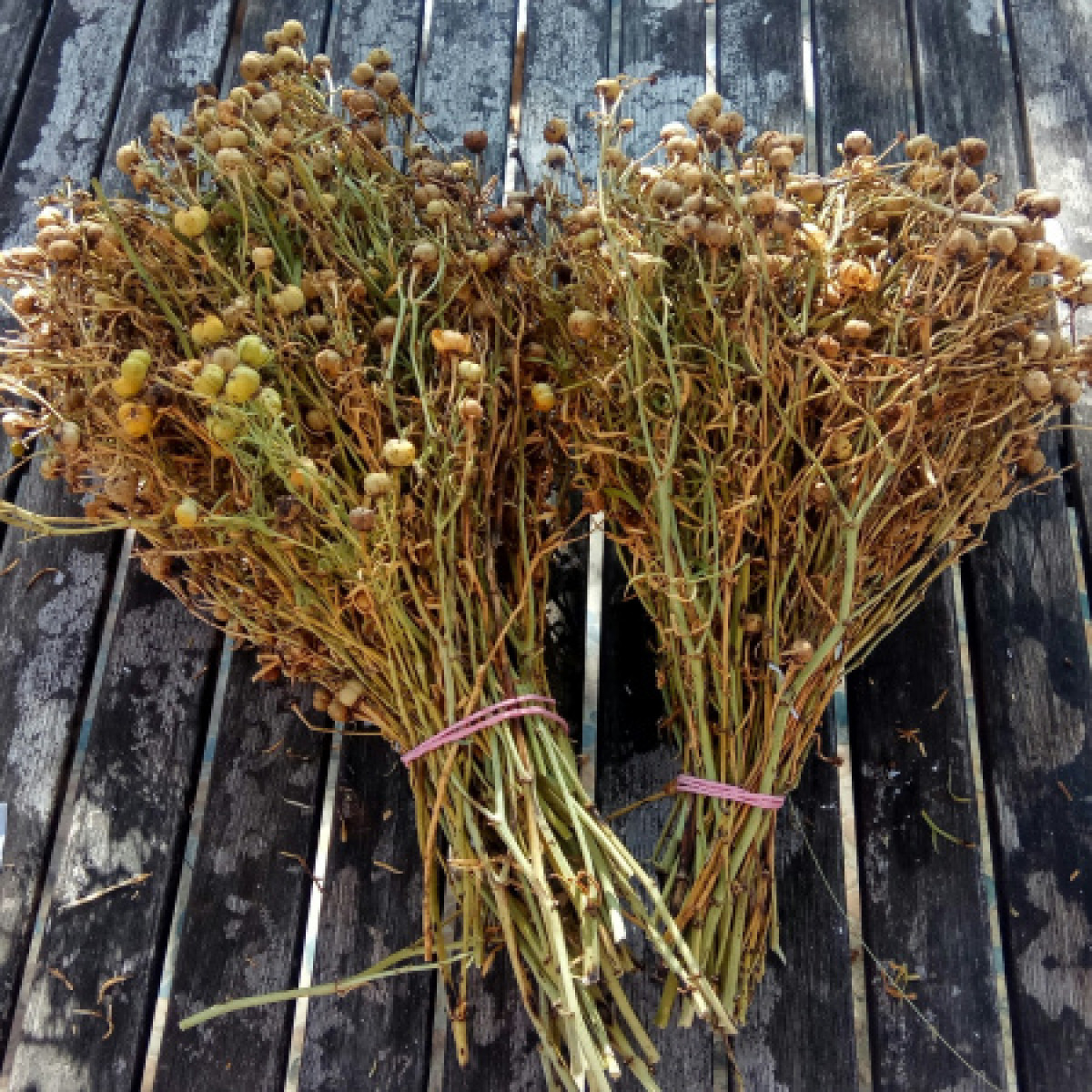 иллюстративное