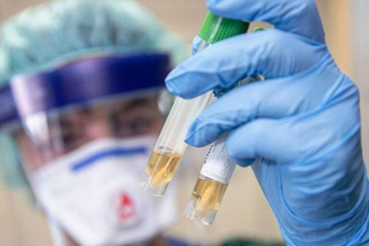 иллюстративное