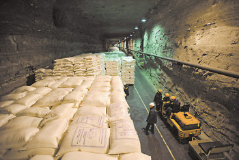 Зерна и мяса в Казахстане достаточно - МСХ