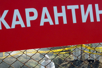 Фотография к новости: Правительство огласило регламент въезда и выезда во время карантина в Нур-Султане и Алматы