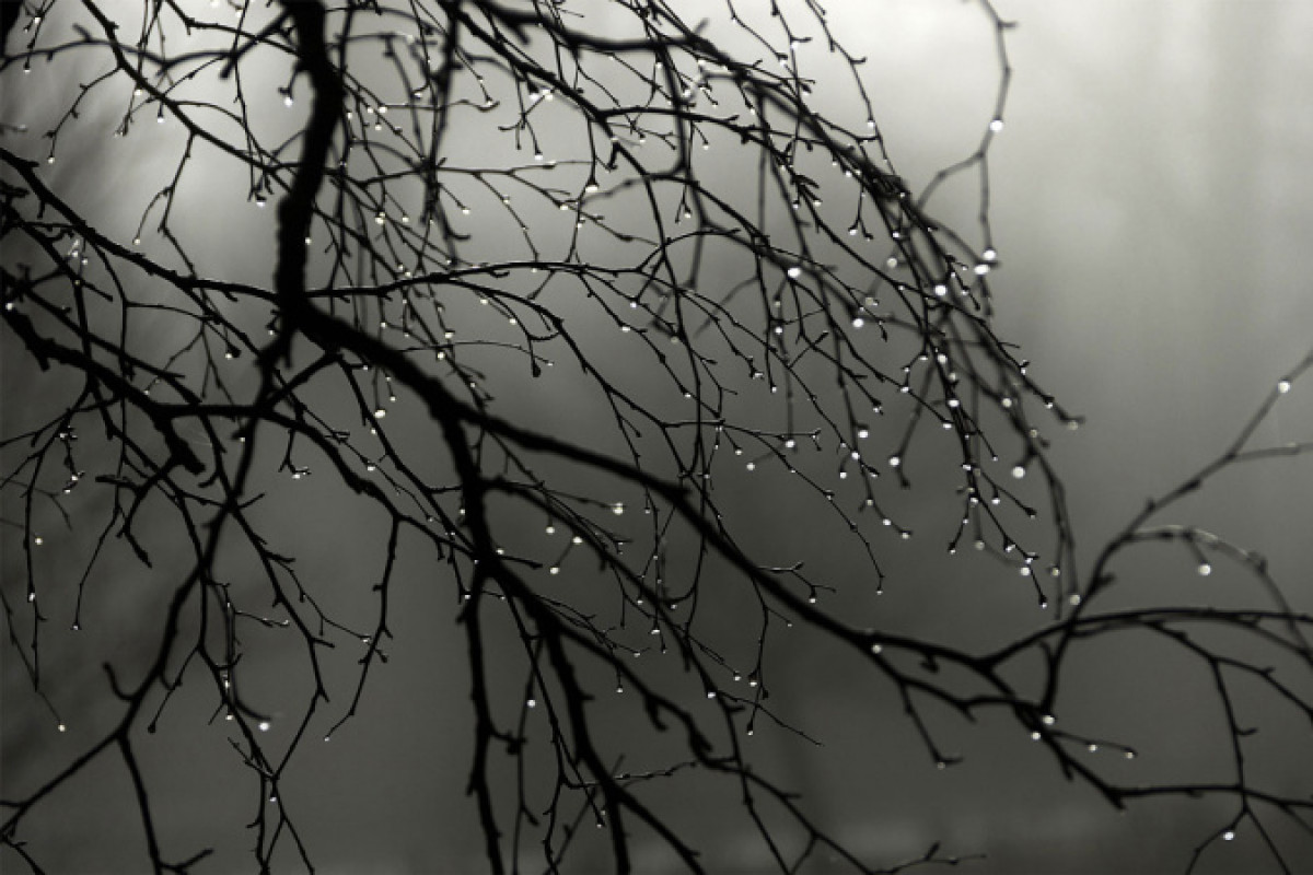 иллюстративное