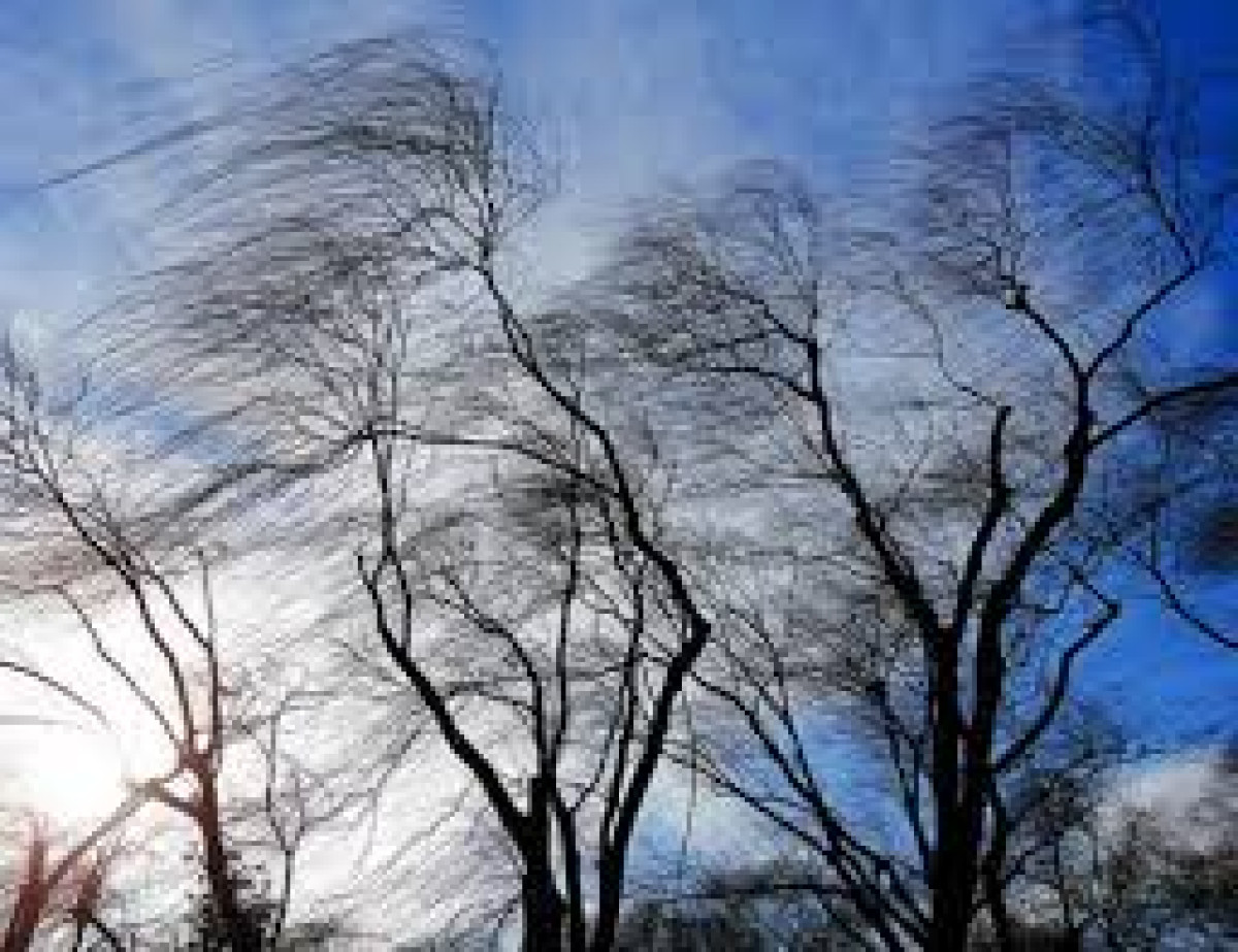 Штормовое предупреждение объявлено в Жамбылской области