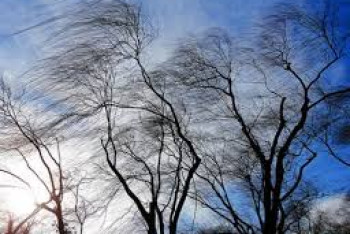 Фотография к новости: Штормовое предупреждение объявлено в Жамбылской области