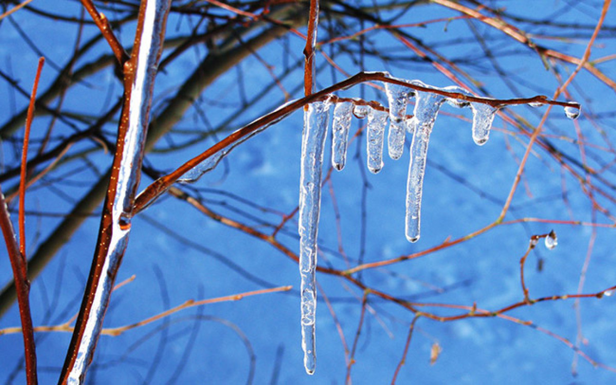 иллюстративное