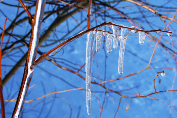 Фотография к новости: Погода без осадков ожидает казахстанцев 26 марта