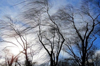 Фотография к новости: В двух областях Казахстана объявлено штормовое предупреждение