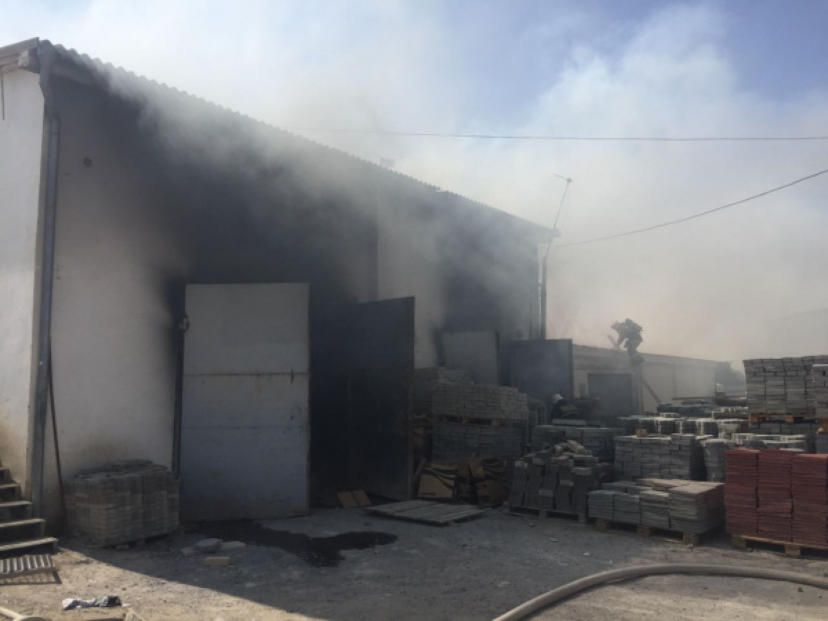 иллюстративное