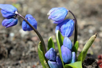Фотография к новости: В выходные дни в Казахстане ожидается теплая и солнечная погода