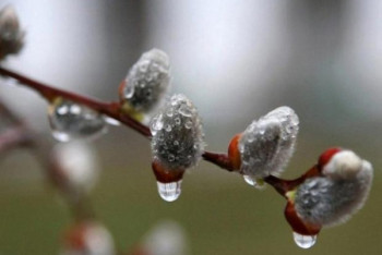 Фотография к новости: Погода без осадков ожидается в Казахстане 29 марта