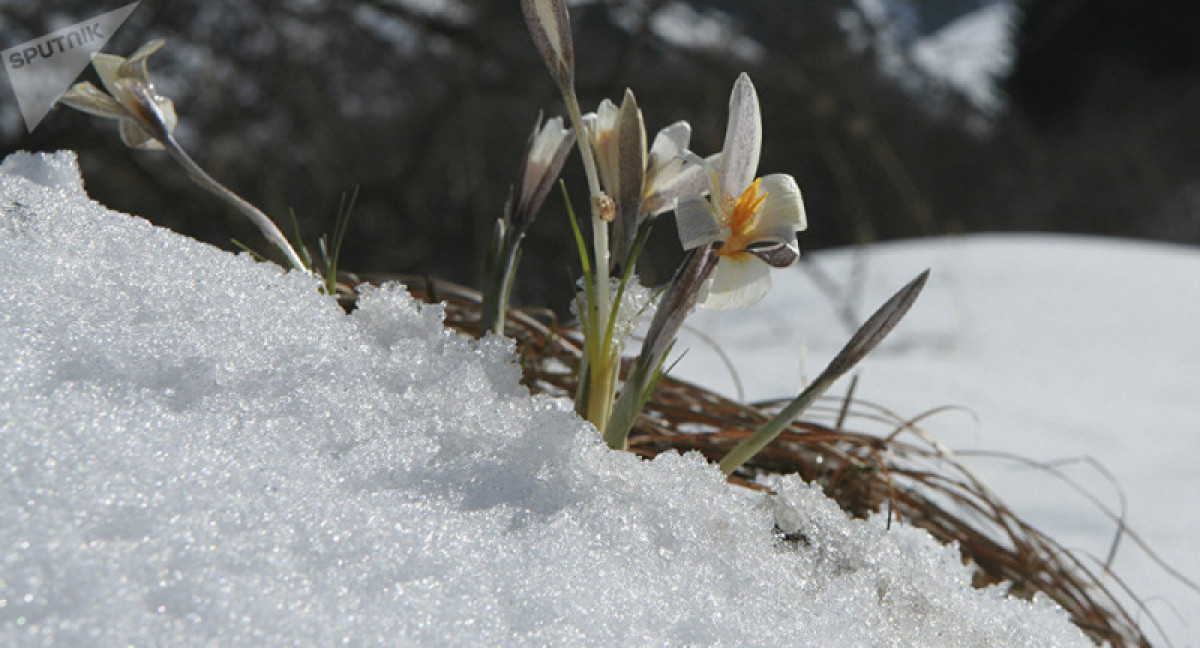 иллюстративное