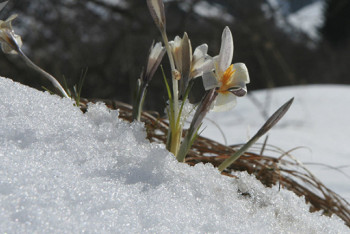 Фотография к новости: Погода без осадков сохранится в Казахстане 30 марта