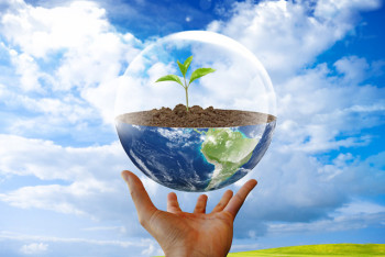 Фотография к новости: Как коронавирус помог планете улучшить экологию