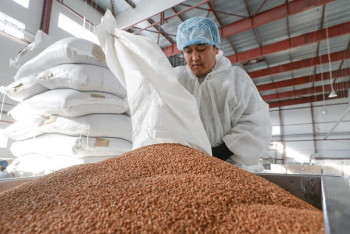 Фотография к новости: Минсельхоз ограничил экспорт социально значимых продуктов в ЕАЭС