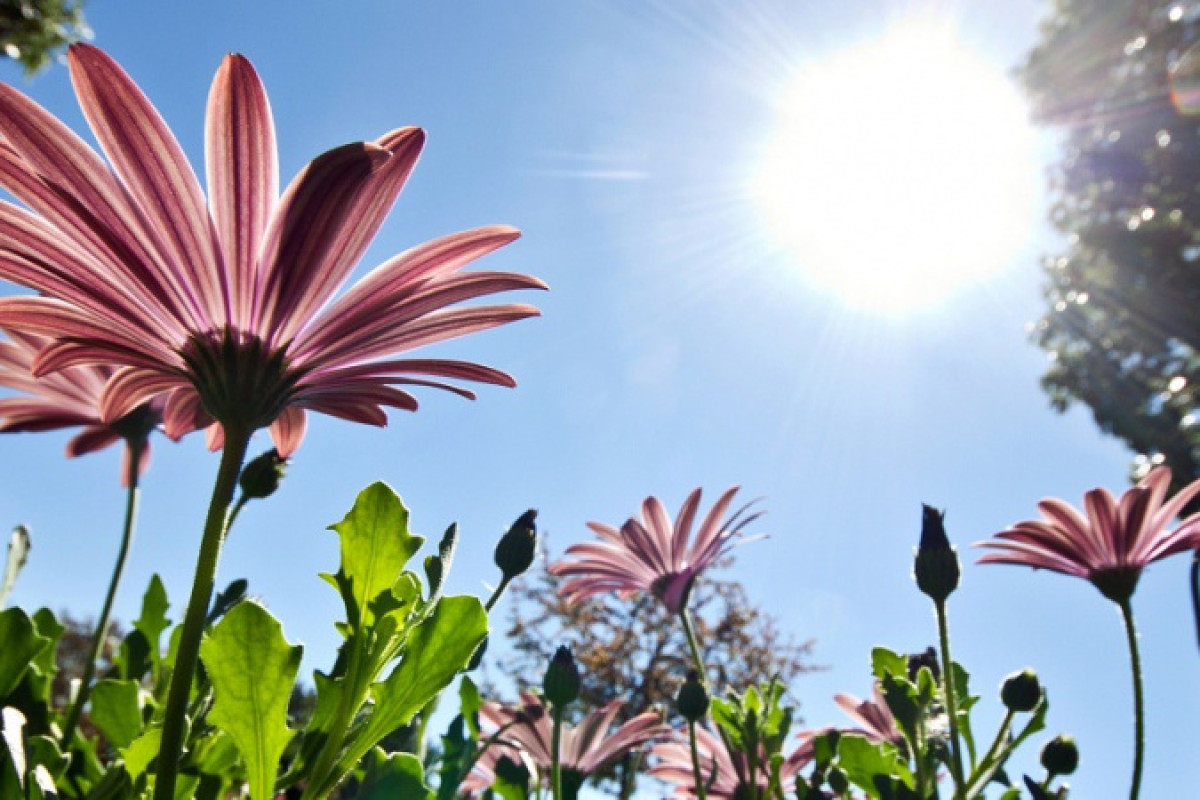 Иллюстративное, архивное - &quot;КазИнформ&quot;