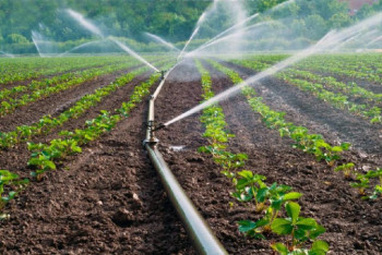 Сколько орошаемых земель в Казахстане