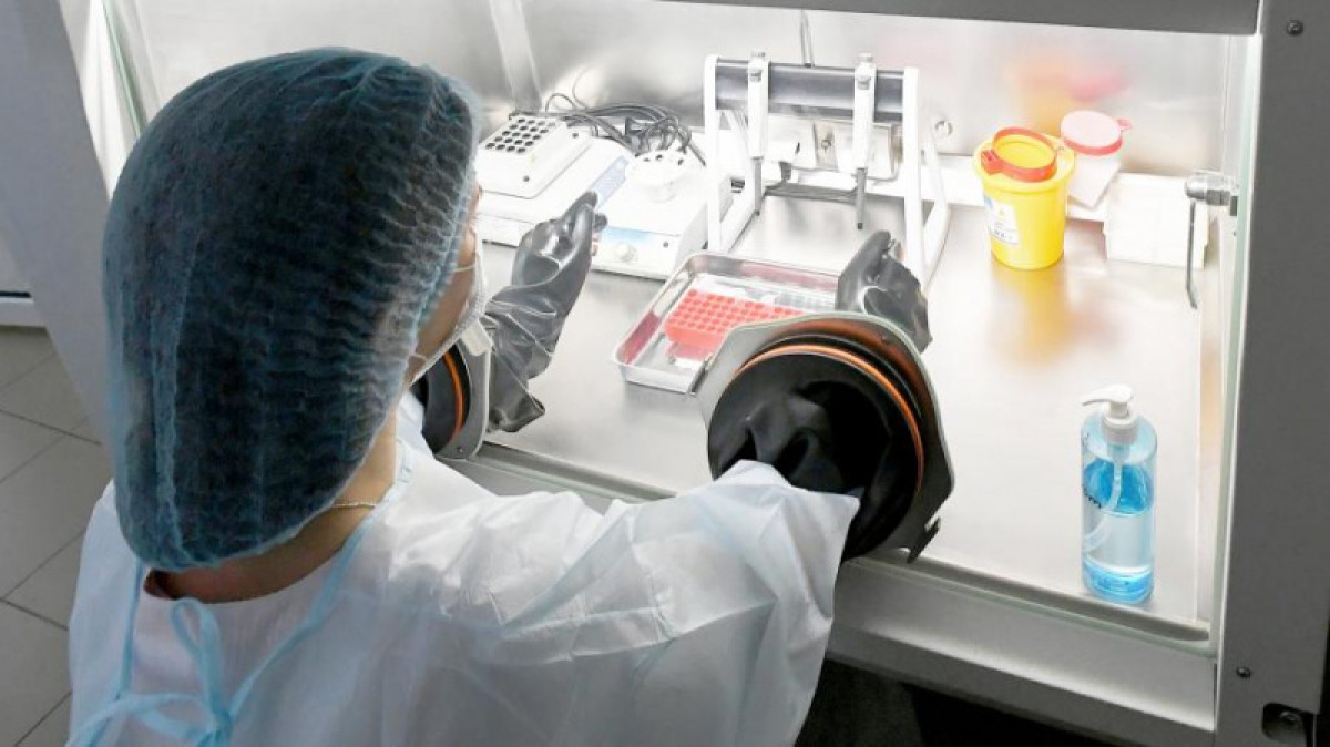 иллюстративное