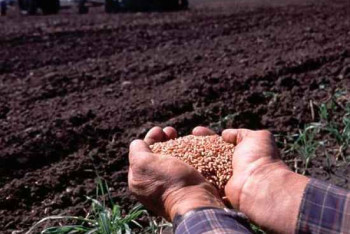 Фотография к новости: На весенне-полевые работы в Казахстане выделили еще 100 миллиардов тенге