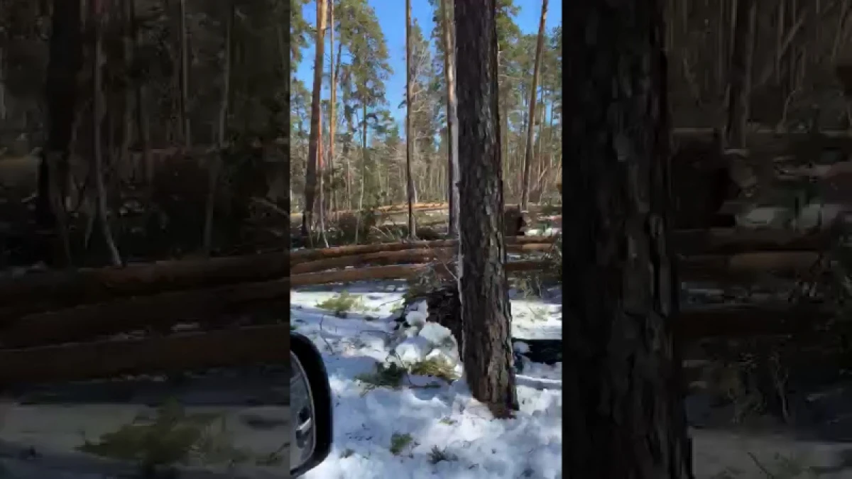 кадр из видео