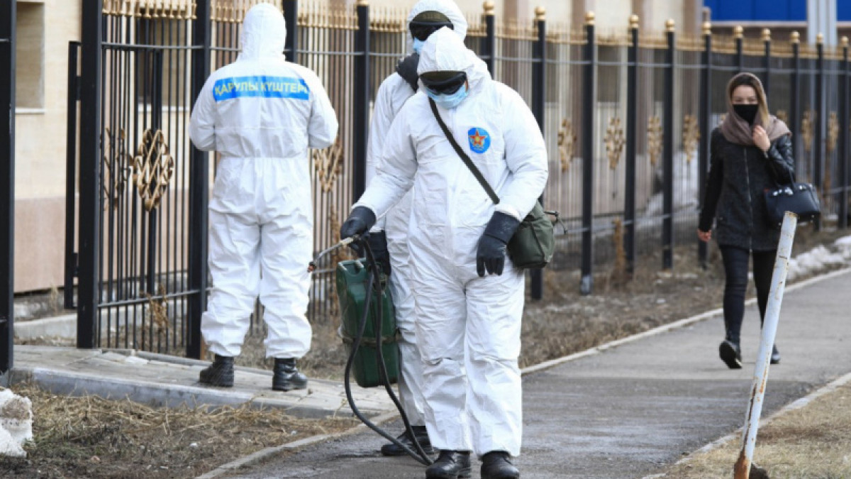 иллюстративное