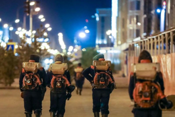 Фотография к новости: Травить комаров будут в шесть этапов в Нур-Султане