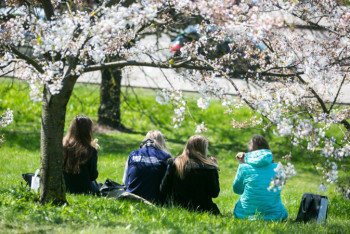 Фотография к новости: Какая погода ожидается в Казахстане 18 апреля