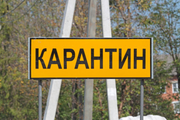 Фотография к новости: Карантин вводится в Туркестанской области