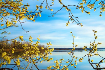 Фотография к новости: Какая погода ожидает казахстанцев 19 апреля