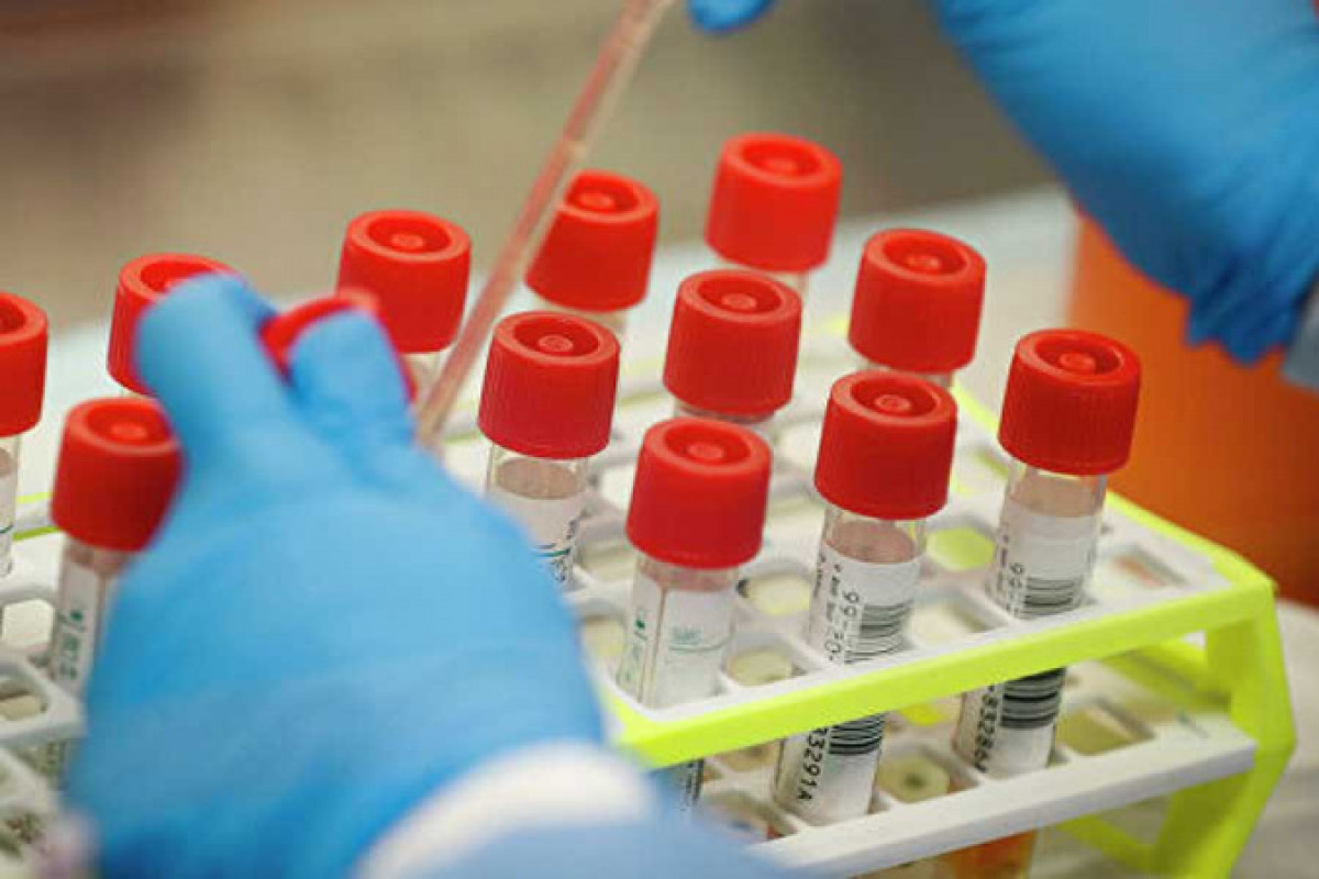 иллюстративное