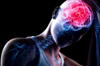 Фотография к новости: Каким образом коронавирус повреждает мозг, рассказали ученые