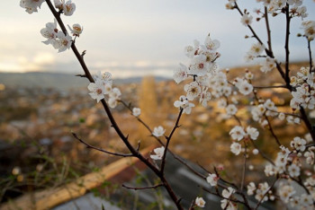 Фотография к новости: Синоптики рассказали о погоде 20 апреля в Казахстане