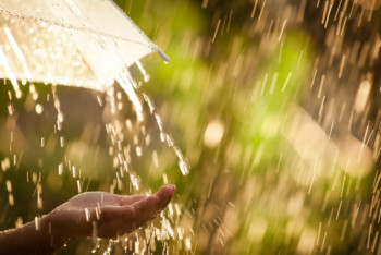 Фотография к новости: Дожди прогнозируют синоптики на большей части Казахстана