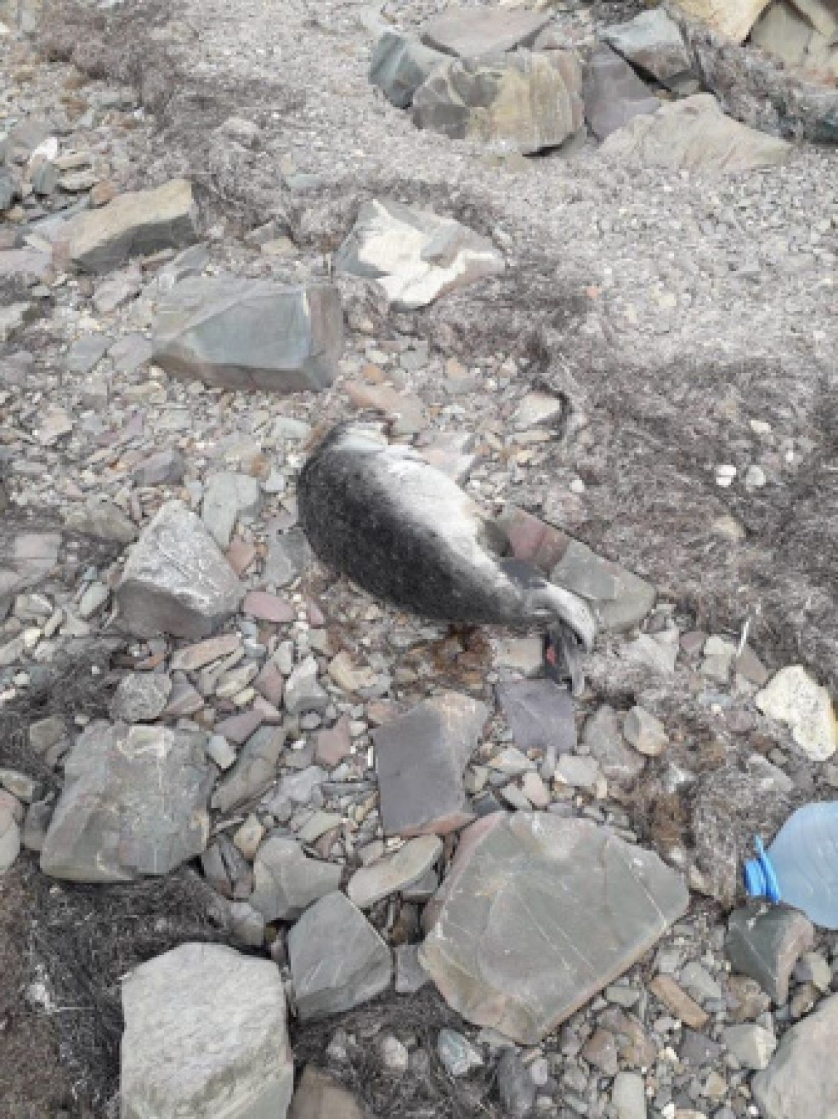 Facebook / Сакен Дилдахмет