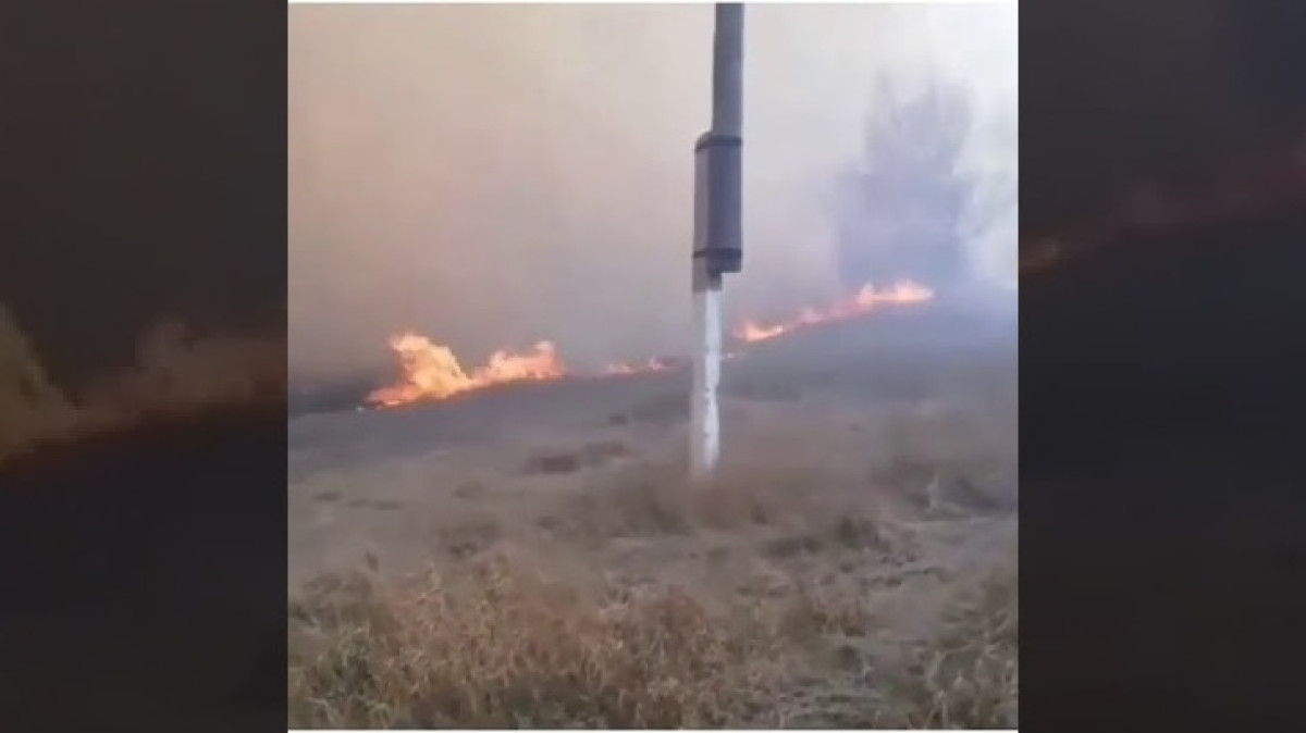 Лесной пожар в СКО: огонь перекинулся на сёла