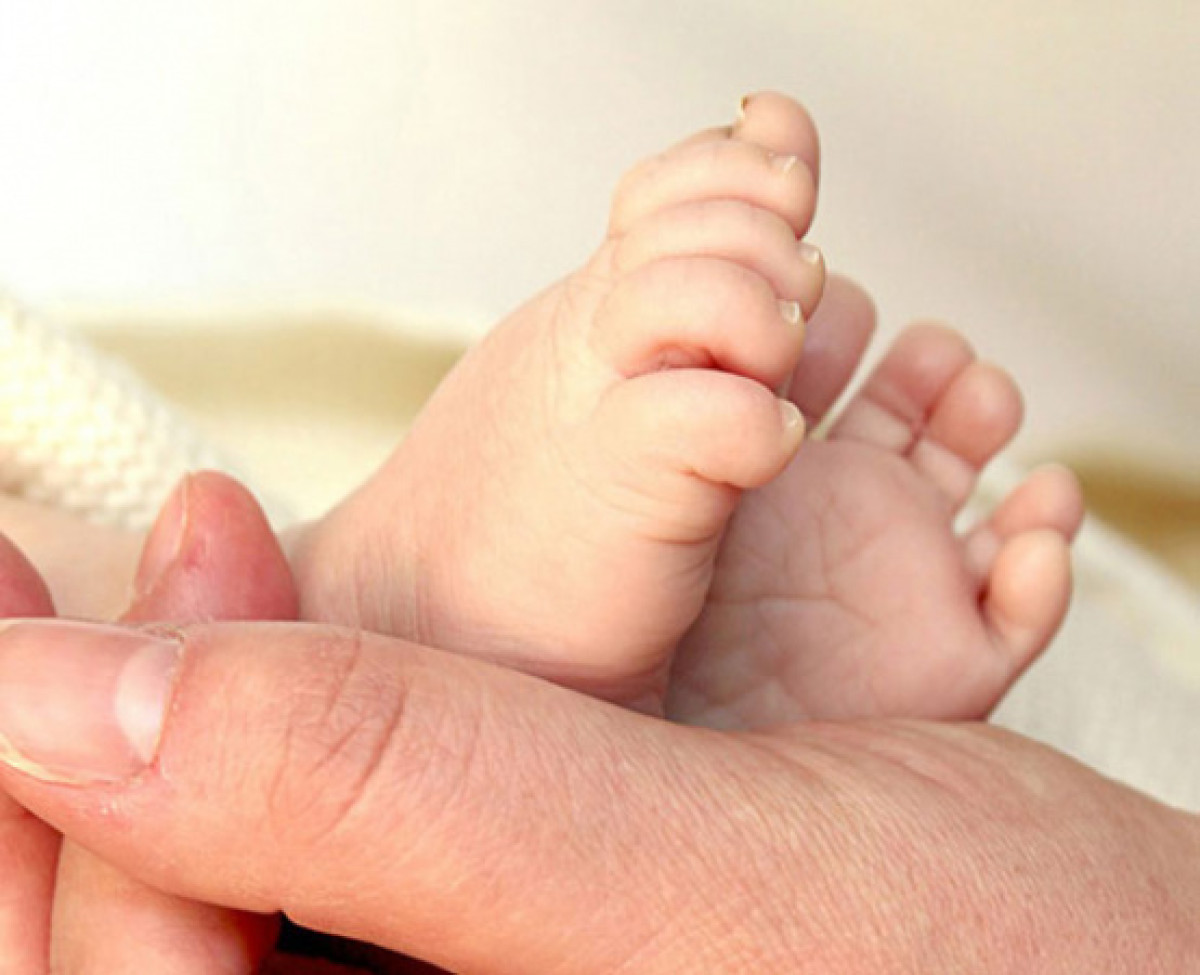 иллюстративное