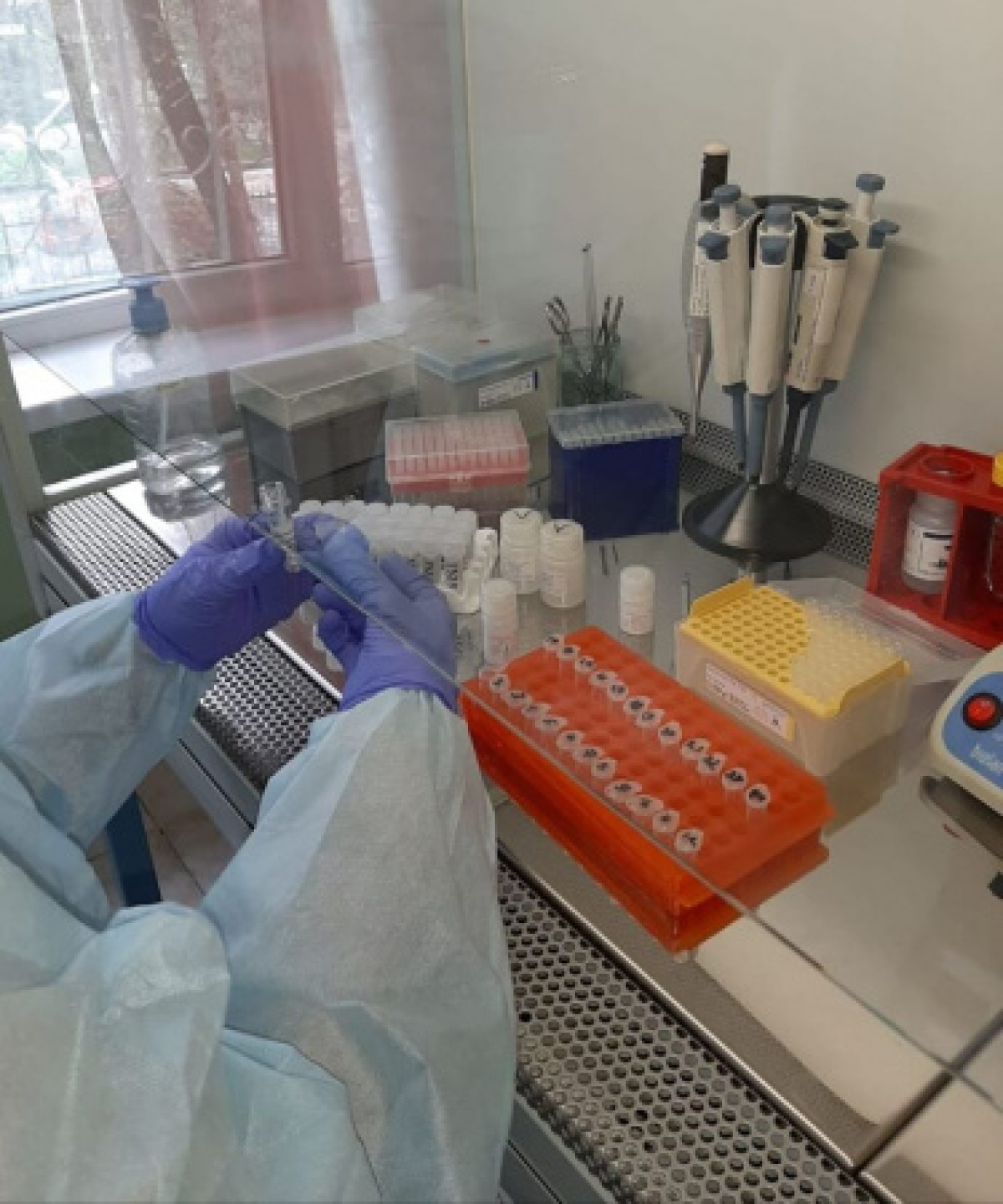 Зарегистрированы еще 22 случая заболевания коронавирусом в Казахстане