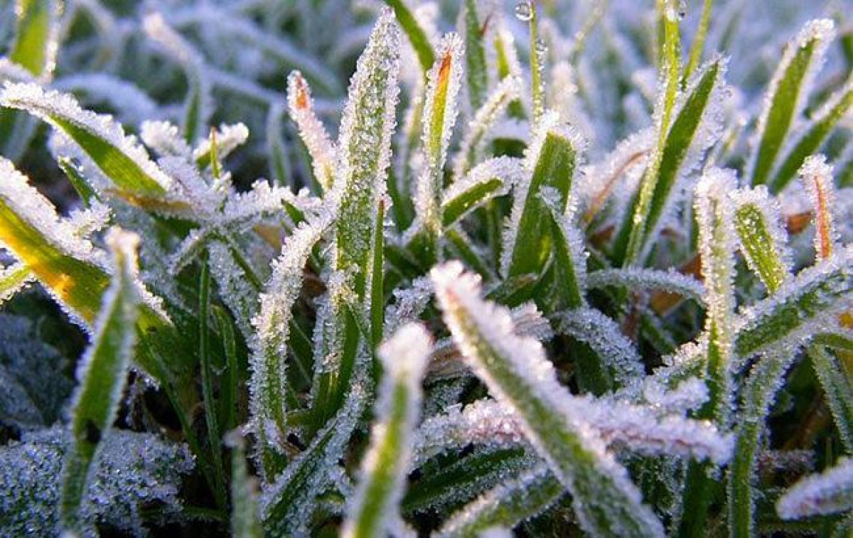 Шквалистый ветер и заморозки ожидаются в Костанайской области