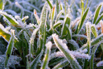 Фотография к новости: Шквалистый ветер и заморозки ожидаются в Костанайской области