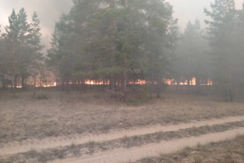 Фотография к новости: В двух регионах Казахстана продолжается борьба с природными пожарами