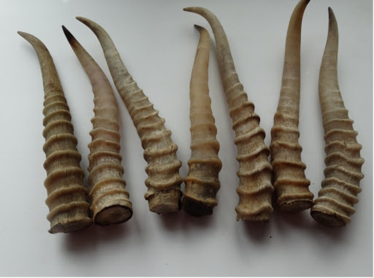 Иллюстративное: Сакен Дилдахмет / Facebook