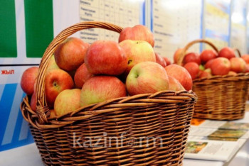 Фотография к новости: Грозит ли Казахстану голод, рассказали в Минсельхозе