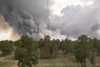 Фотография к новости: Лесной пожар локализован в ВКО