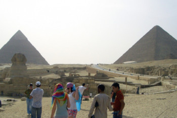 Фотография к новости: Древний некрополь со священными животными вскрыли в Египте