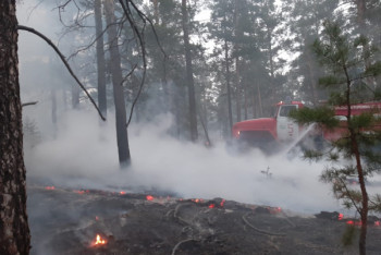 Фотография к новости: До 2500 гектаров увеличилась площадь лесного пожара в ВКО